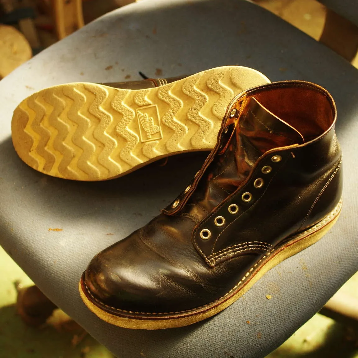 倉敷市　M様　RED WING　アイリッシュ・セッター　カス...