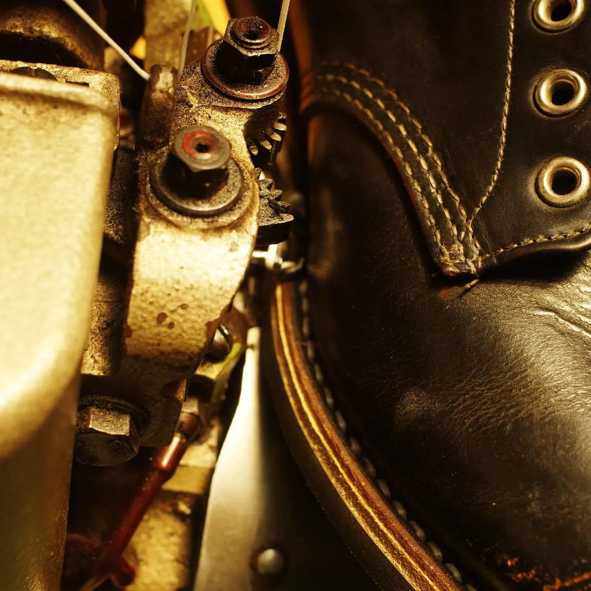倉敷市　M様　RED WING　アイリッシュ・セッター　カス...