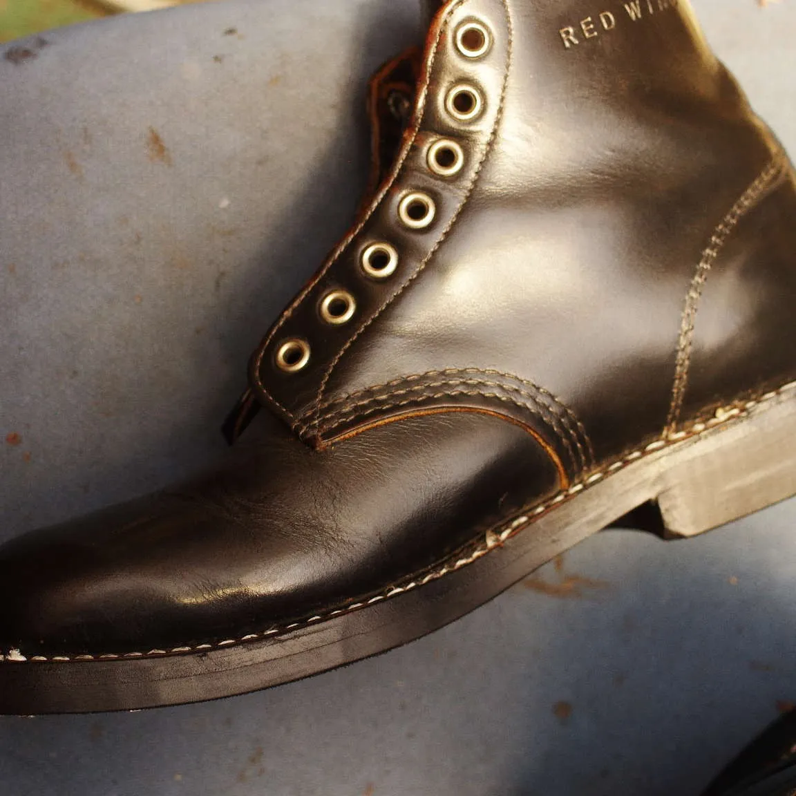 倉敷市　M様　RED WING　アイリッシュ・セッター　カス...