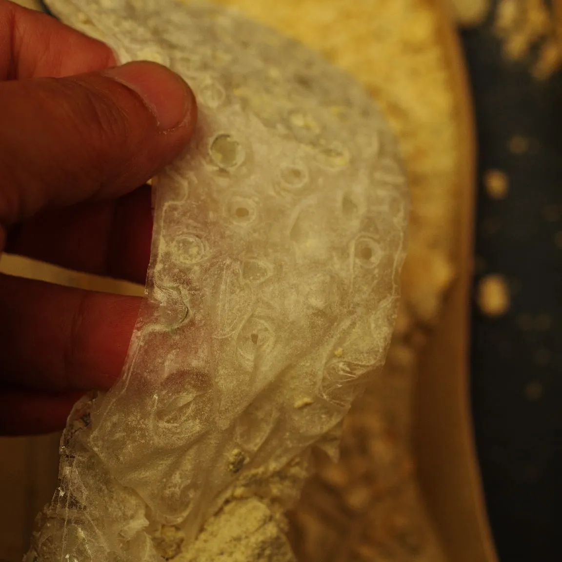 長野県 A様 NIKE エアフォース・ワンソール内クッション...