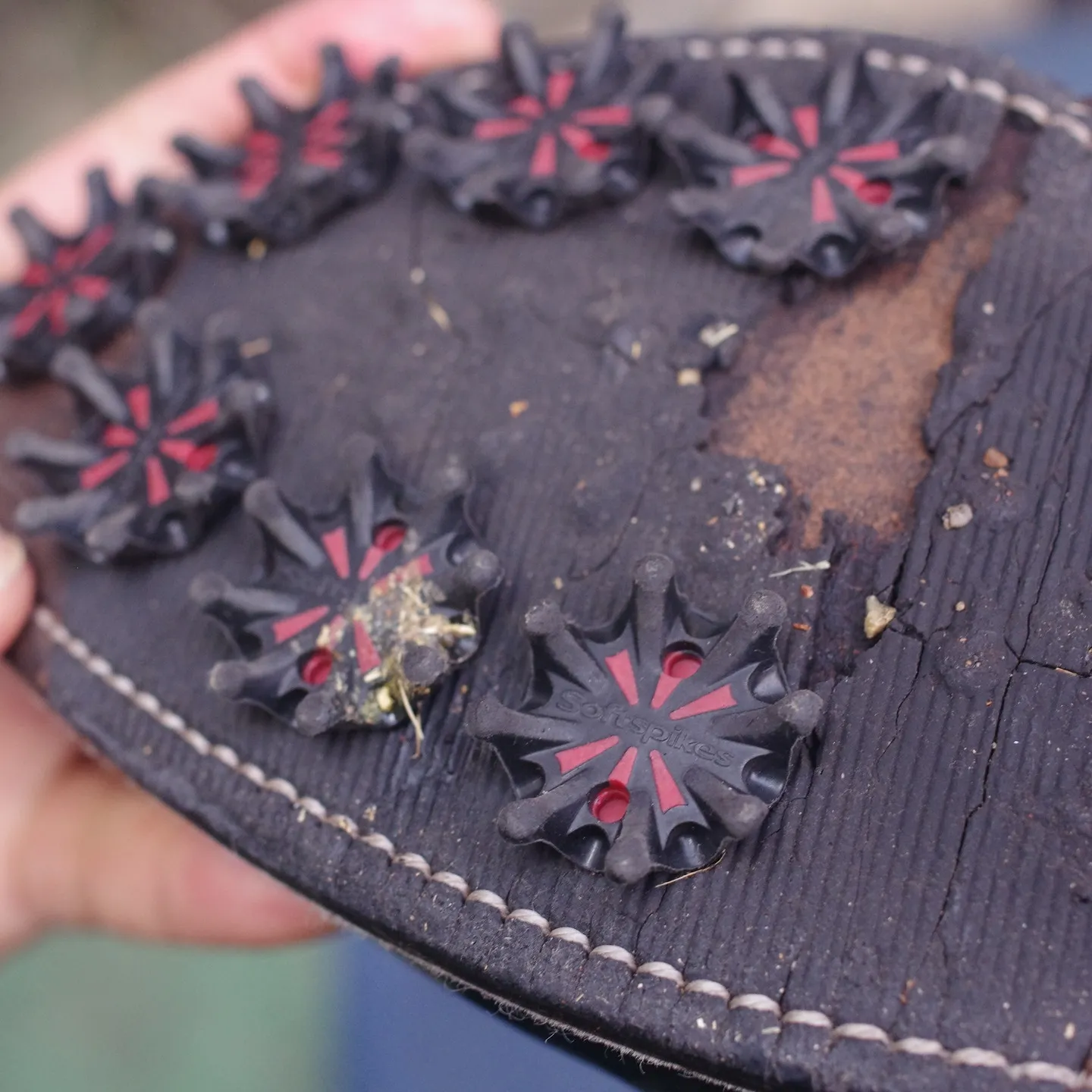 鳥取県　N様　FootJoy　ドライプレミアム　ハーフソール...