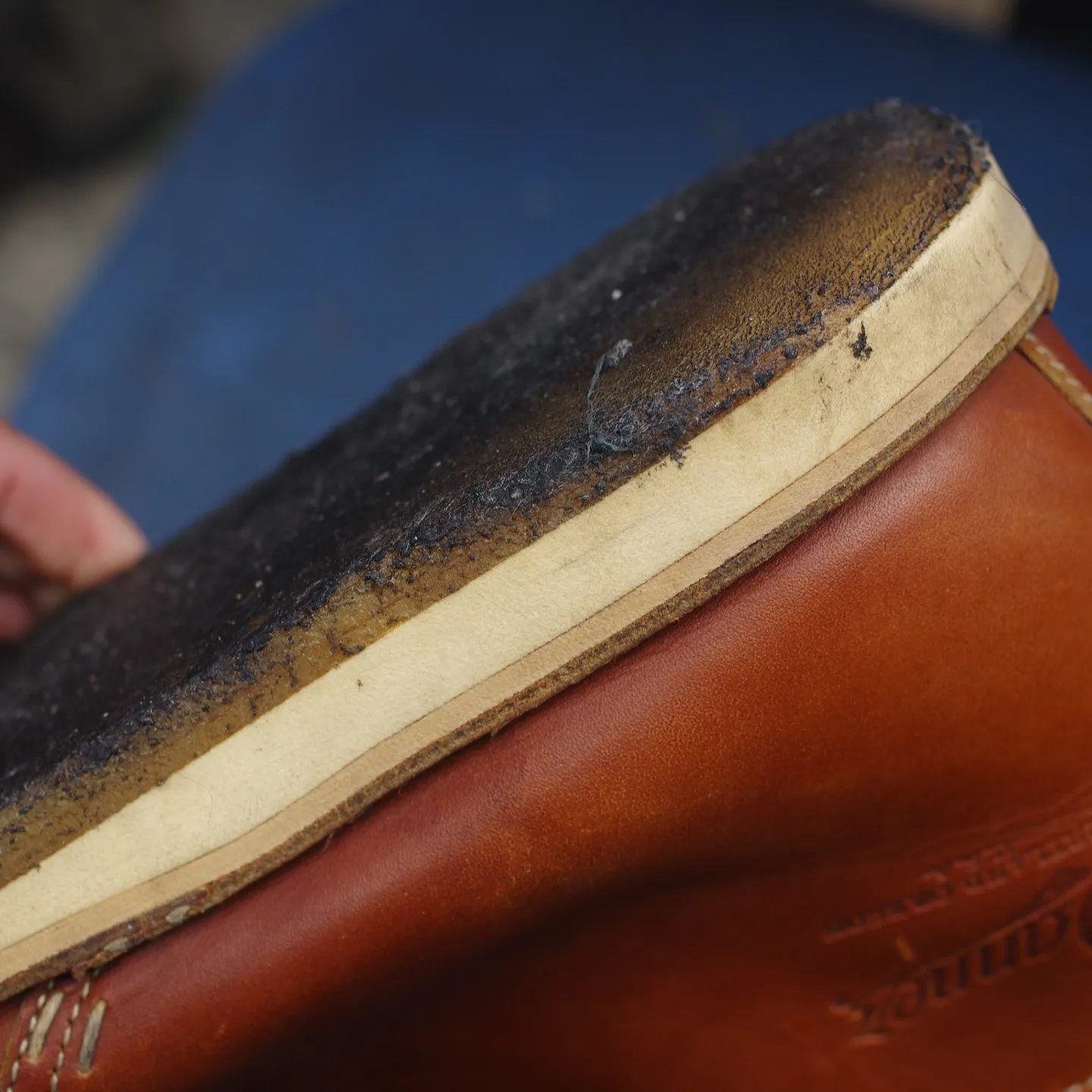 北海道の美しい冬景色を楽しむ準備はできていますか？🧊⛄️K様...