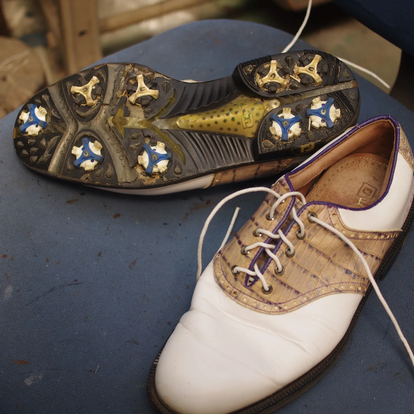 こんにちは！大阪府のM様のお気に入りのFootJoyアイコン...