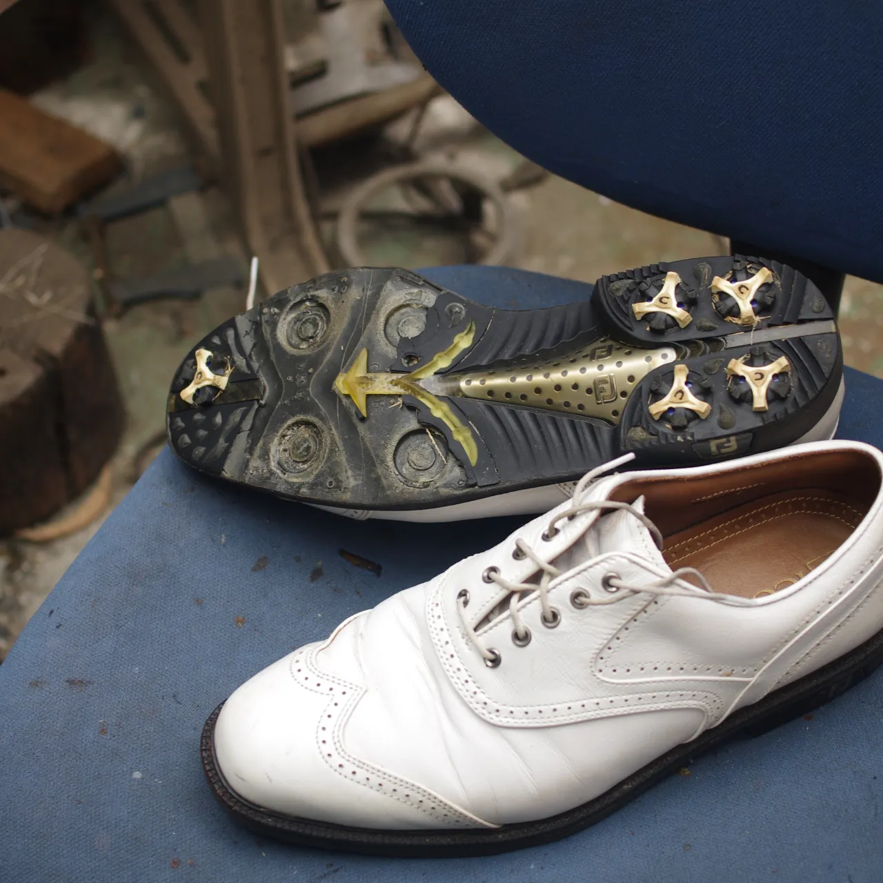 ⛳【FootJoy ICON（フットジョイ アイコン）ゴルフ...