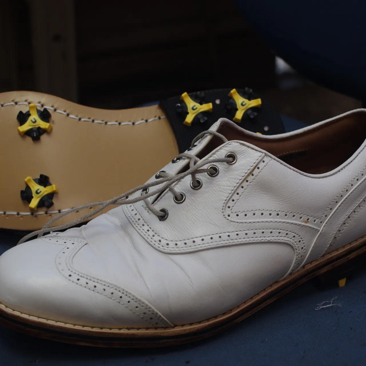 ⛳【FootJoy ICON(フットジョイ アイコン)ゴルフ...