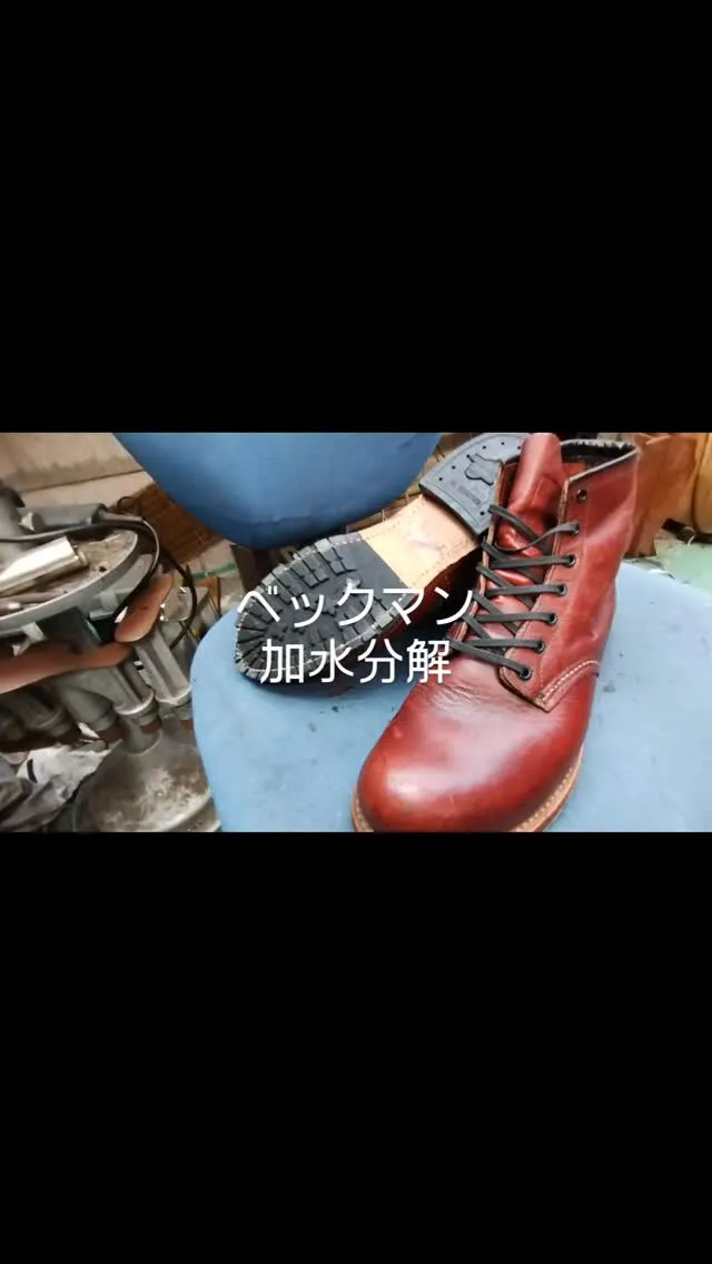 レッドウィングベックマンです。