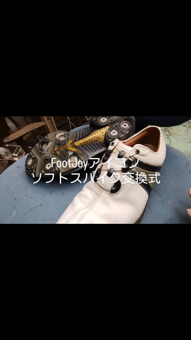FootJoyのアイコンモデルです。